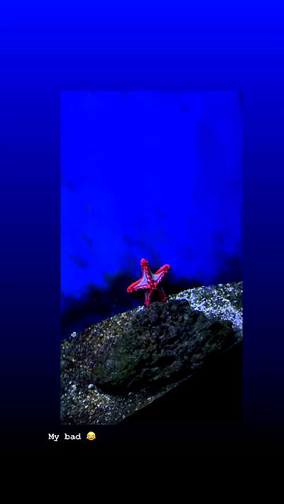 jaroslava_klavir jaroslava_klavir archive video