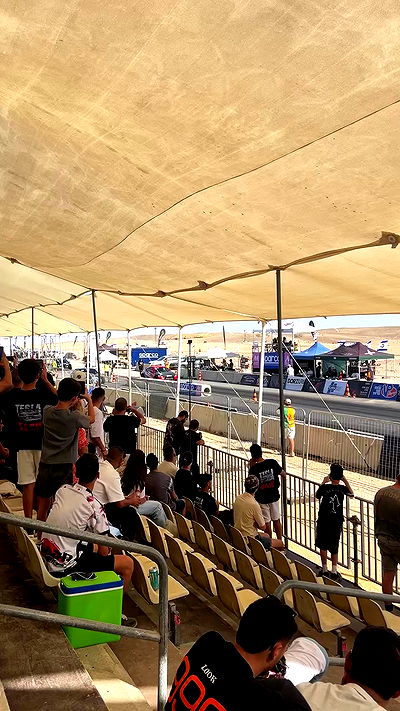 simp_for_cats_ simp_for_cats_ archive video