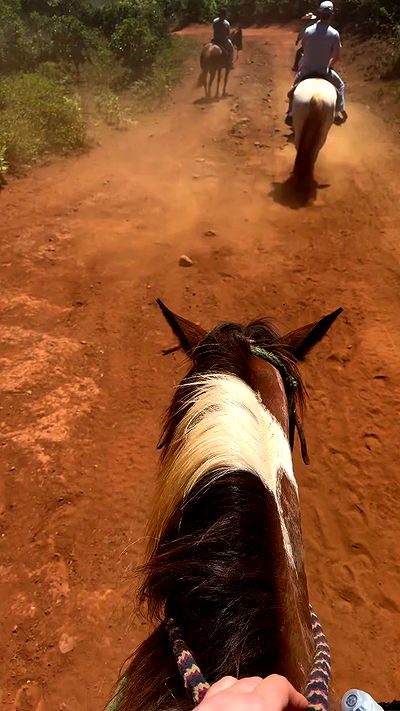 vamppyrbaby vamppyrbaby archive video