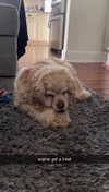 lew12001 Altpins Profile Picture