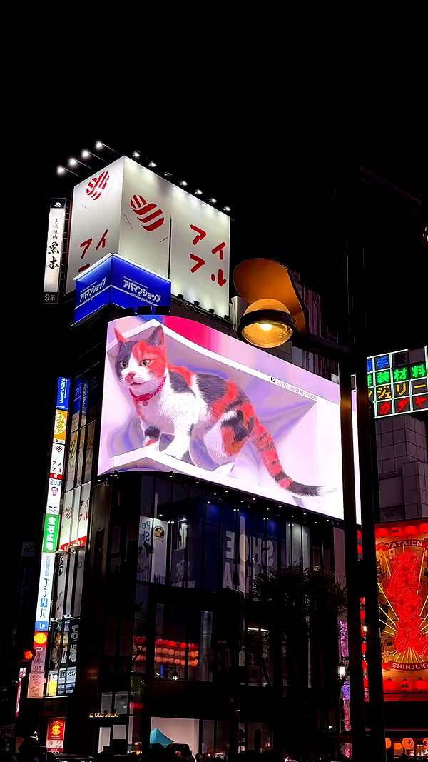 j.yce archive video preview