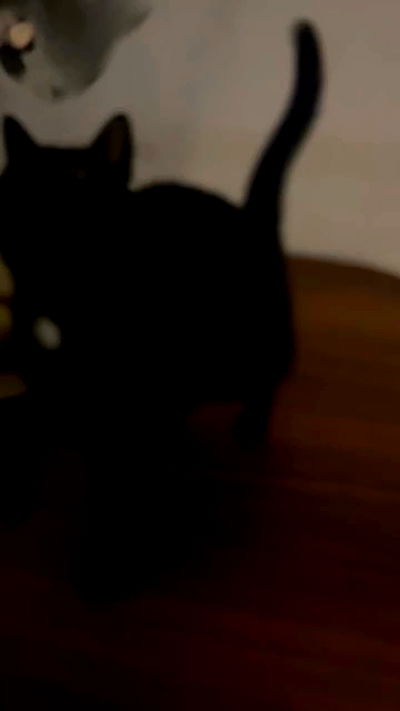 hellokittyangel666 hellokittyangel666 archive video