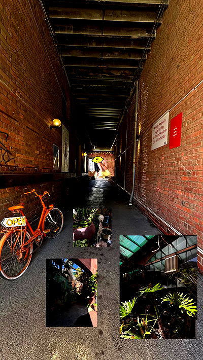 piper.jaylen piper.jaylen archive video