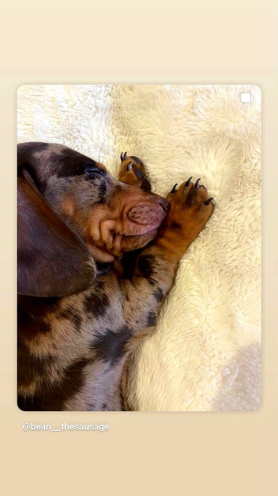 _._dianush._ _._dianush._ archive video