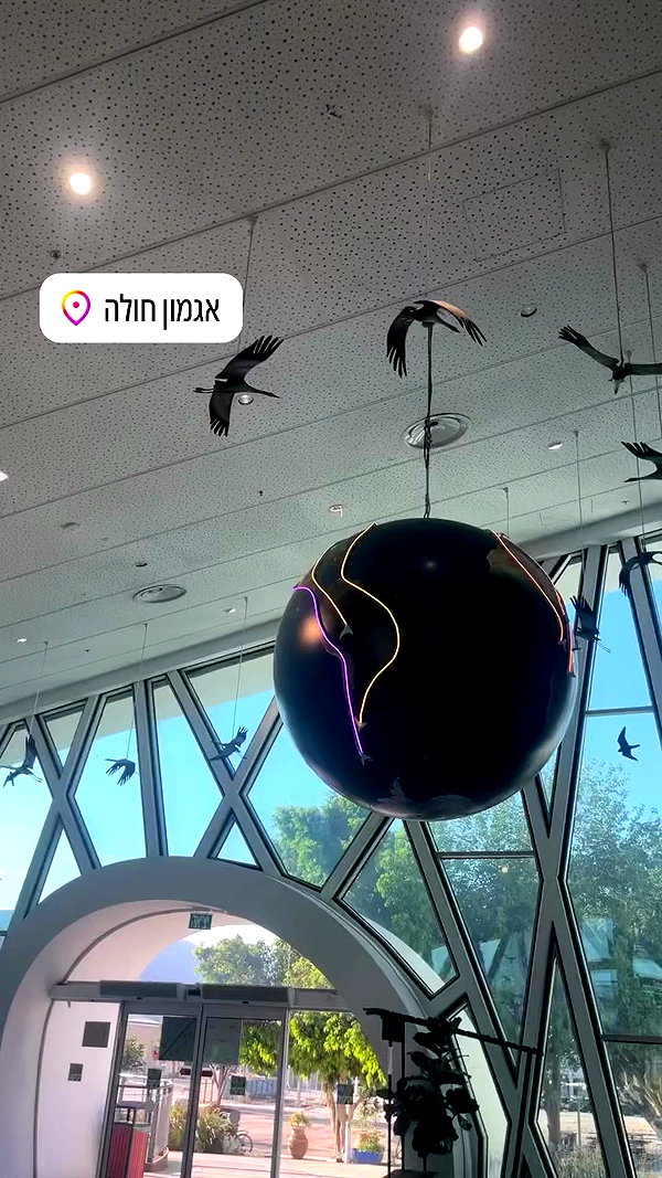 lior_levrun archive video preview