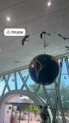 lior_levrun Altpins Profile Picture