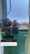 haley_meister Altpins Profile Picture