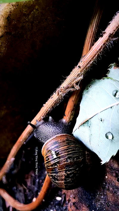 piper.jaylen piper.jaylen archive video