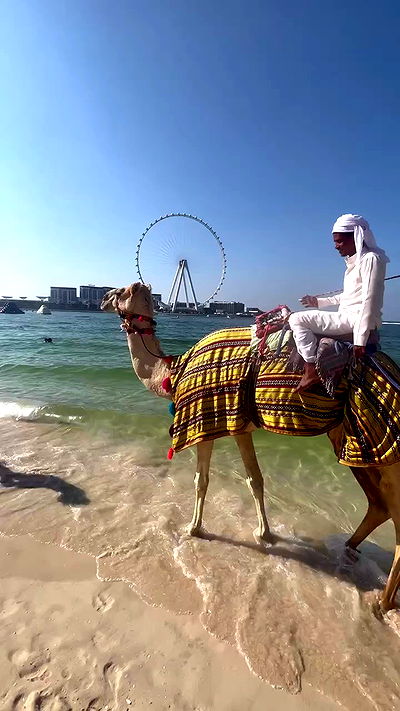 annfigma annfigma archive video