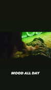 kyliejenner Altpins Profile Picture
