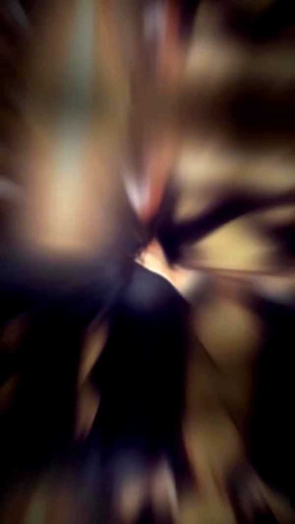 linnnh__h archive video preview