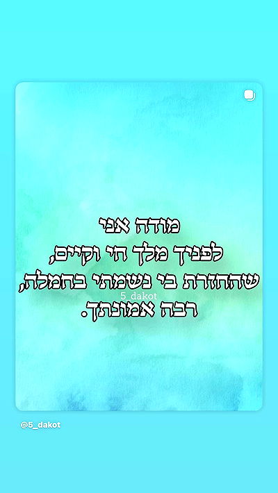 _lil_noa_ _lil_noa_ archive video