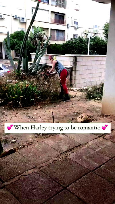 feelbetterinmysweater feelbetterinmysweater archive video