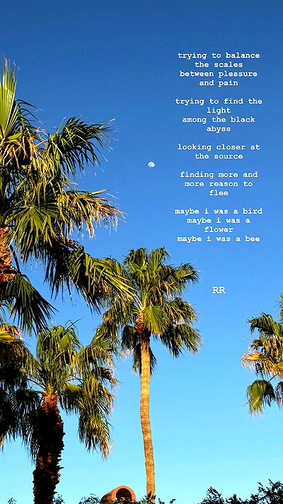 redroomromance redroomromance archive video