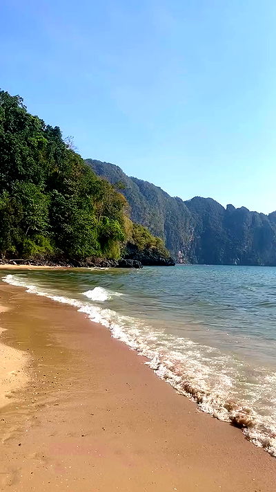 yam_adler yam_adler archive video