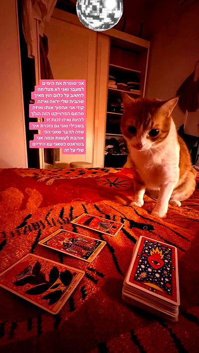 iambohema.v2 iambohema.v2 archive video