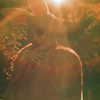 belok_bero Altpins Profile Picture