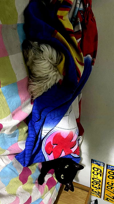 feelbetterinmysweater feelbetterinmysweater archive video