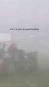 adalombardi_ Altpins Profile Picture