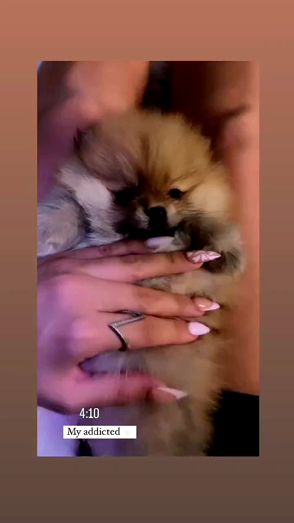diana_tal_ archive video preview