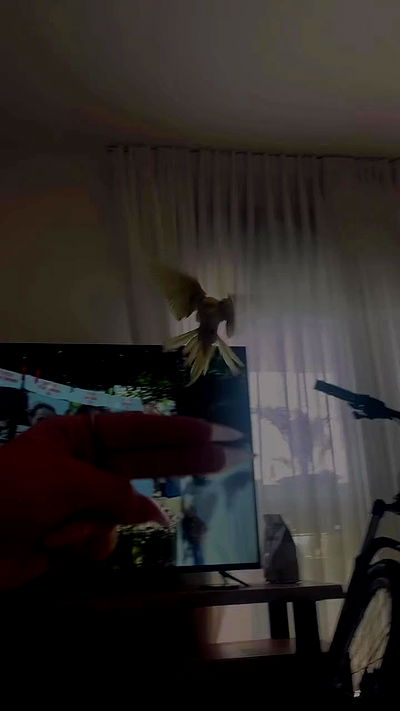 tinapavlov.sky tinapavlov.sky archive video