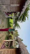 noa_mendel_ Altpins Profile Picture