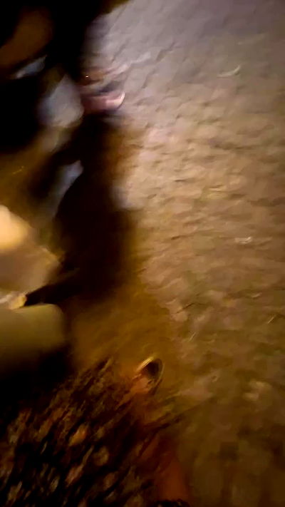 emily.otaku emily.otaku archive video