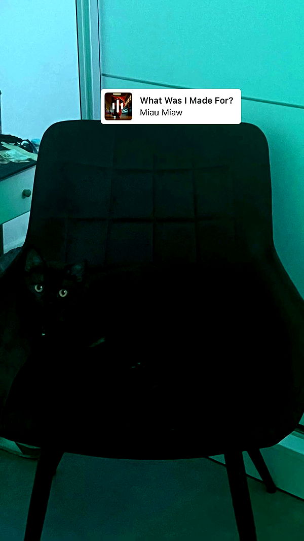 yulialam__ archive video preview