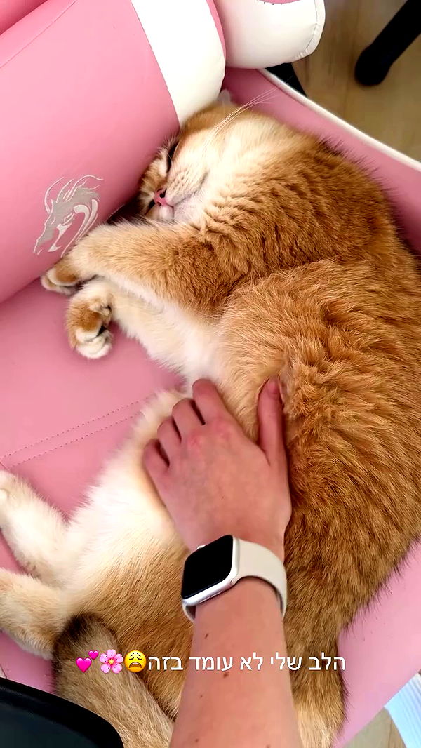 itsilanosh archive video preview