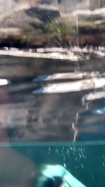 neomiconrad neomiconrad archive video