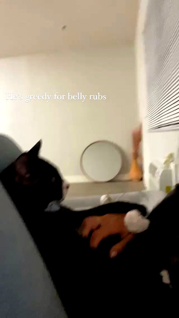 sydney_melman archive video preview
