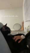 sydney_melman Altpins Profile Picture