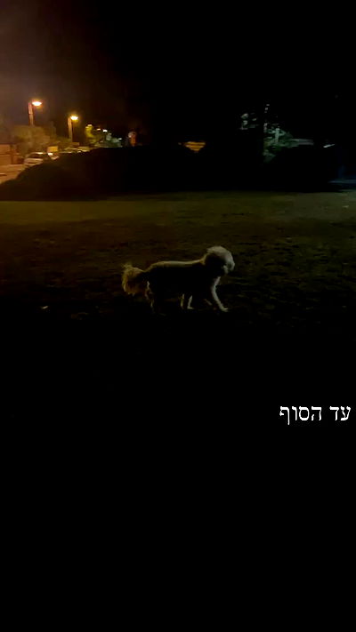 feelbetterinmysweater feelbetterinmysweater archive video