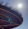 ilana.21 Altpins Profile Picture