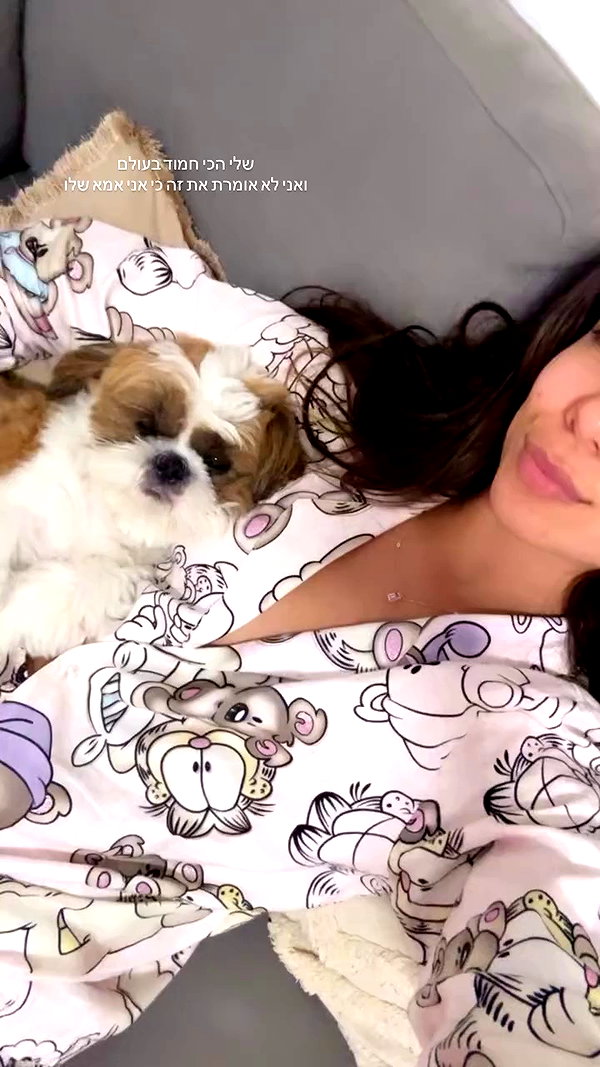 noammalka___ archive video preview