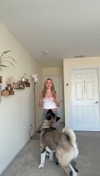 kayleedolisi Altpins Profile Picture