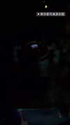 maomao.418 Altpins Profile Picture