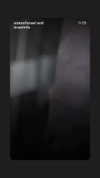daria.lesin Altpins Profile Picture
