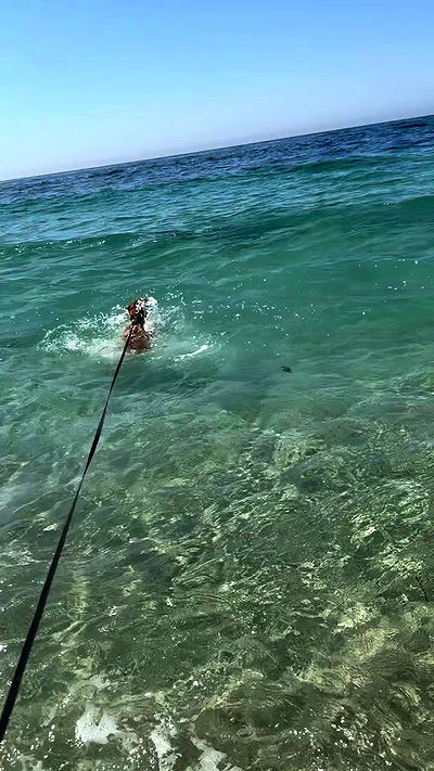 zommmbri zommmbri archive video