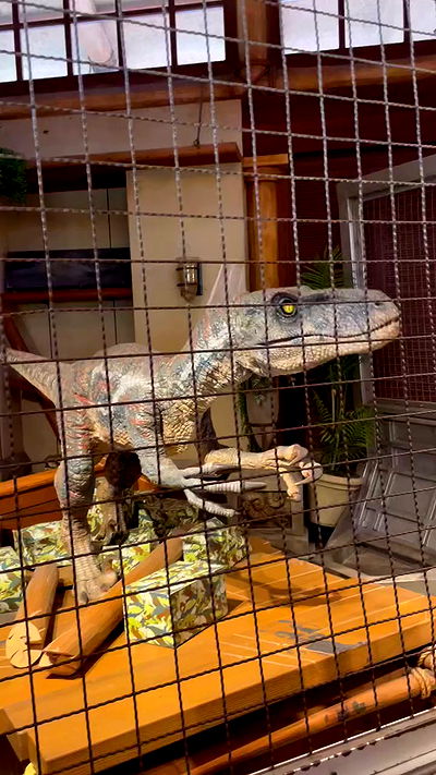 neomiconrad neomiconrad archive video