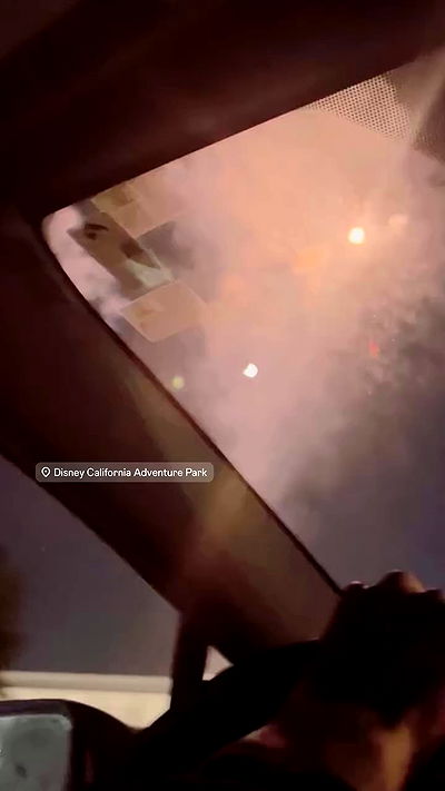 zommmbri zommmbri archive video