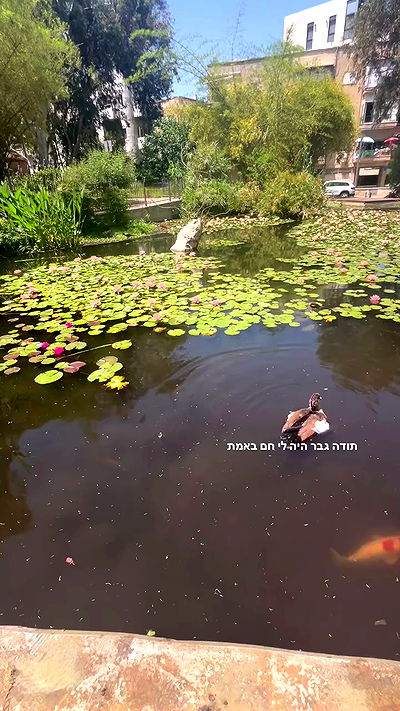 yaelxyazdi yaelxyazdi archive video