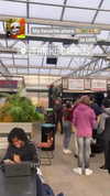 sonya_fisher_ Altpins Profile Picture