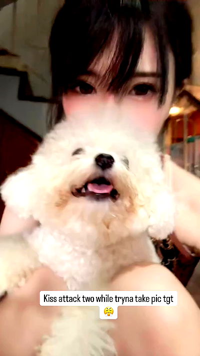 iamdorasnow iamdorasnow archive video