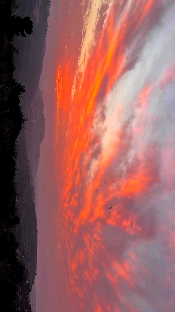 hadas_mayer_ archive video preview