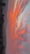 hadas_mayer_ Altpins Profile Picture