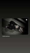 sweetestkttygrl Altpins Profile Picture