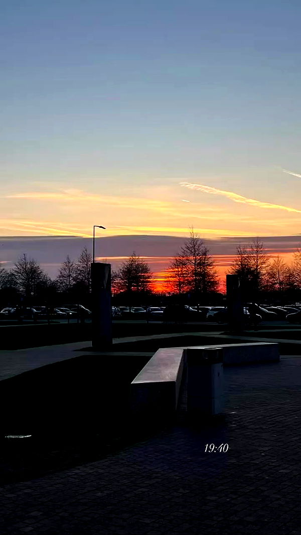 topaz_bn archive video preview