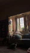 estr3iia Altpins Profile Picture