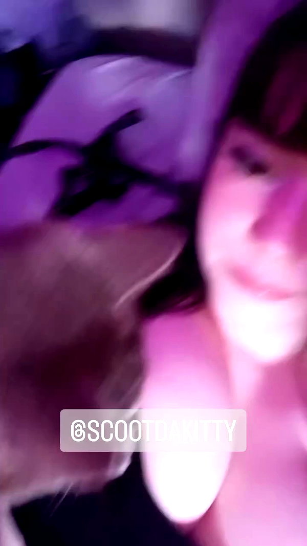 acidangelxo archive video preview